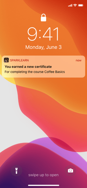 6_Certificates_Notification – 1